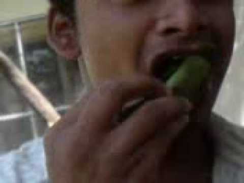 Evolution of Humans into Goats