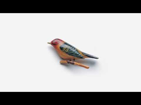 Kishi Bashi - Marigolds (Official Audio)