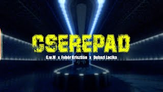 Video thumbnail image