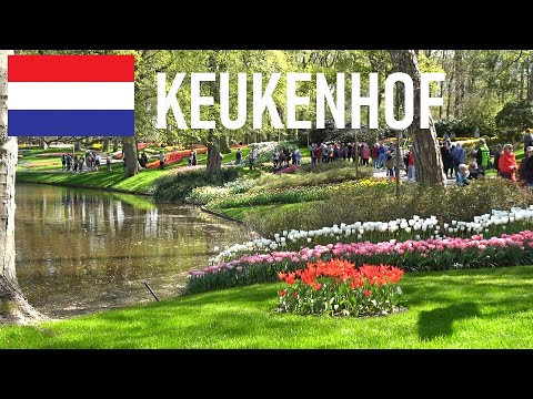 🇳🇱 Lisse - Keukenhof 2022 Springflower Garden (Netherlands, April 2022)