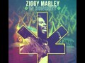 ZIGGY MARLEY "REGGAE IN MY HEAD" FROM NEW ALBUM!