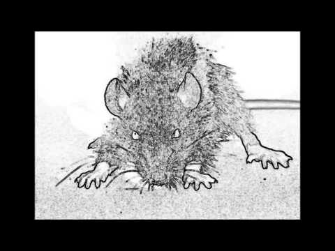 Metrakillah - Ojos Descerebrados (Ft Pesty Sida) (Beat Techno Animal)