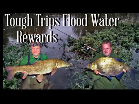 Chasing Barbel in Floodwater - How Nature Can Turn the Tide (Video 272)