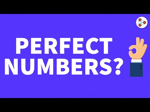 Perfect Number? 👌  #Shorts #YouTubeShorts  #PerfectNumbers | Don't Memorise