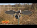 [ ESSENTIAL ] GAME CHANGER for Dove Hunting [ MOJO Voodoo Dove ]