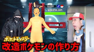 【改造ポケモンの作り方】ポケモンの中の世界ってこんな感じ12