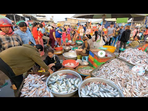 Cambodian Wholesale Fish Market - Fish Market Scenes & Khmer People's Daily Activities