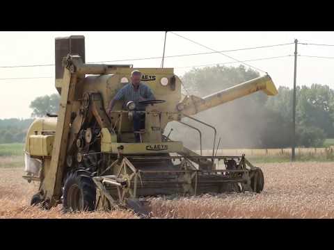 Landb. Timmerman - Oostkamp - Claeys M 80