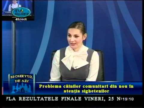 Sighetul de Azi - 24 Noiembrie 2011 - Problema câinilor comunitari
