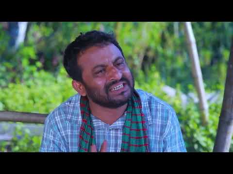 মা ইলিশ টিভিসি-২০২২