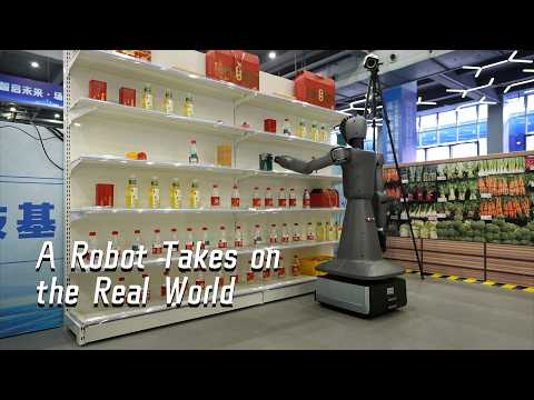 A robot takes on the real world