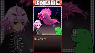 まるでクリーチャーじょのいこ！！？な生き物を解説します。今回は「ユメナマコ」さん