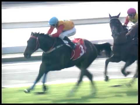 2017-12-09 Race 3(0073) - KOREA RACING AUTHORITY GOODWILL TROPHY