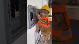 Download lagu Short circuit alarm mp3 Download lagu Short circuit alarm mp3