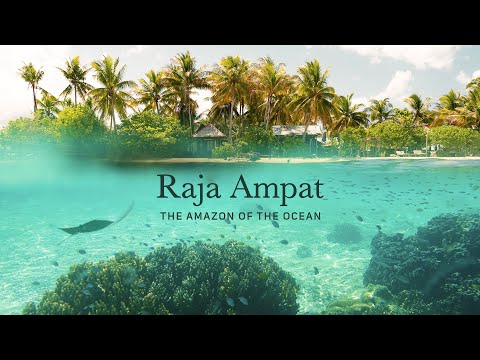 Raja Ampat - The Amazon of the Ocean
