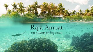 Download lagu Raja Ampat - The Amazon of the Ocean mp3