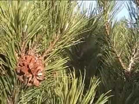 24. fotografia fotogalérie Videogaléria