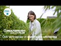 MultiBrush Plus multifunctionele accu borstel 18V Li-Ion zonder accu | video 1