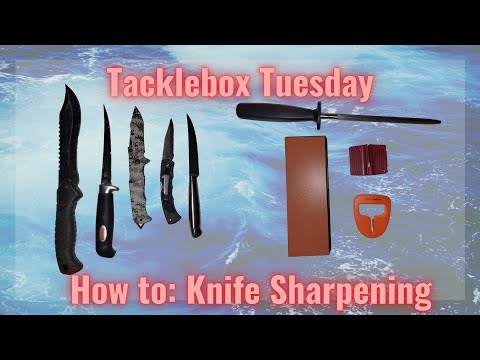 Tacklebox Tuesday: Staying Sharp-Knife Maintenance