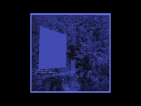 Noah Lyas - Dwellers