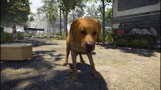 [ディビジョン2] Division2　写真集！（最終回）&絶対インテルポイントが足りない賞金首！