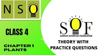class 4 olympiad | NSO chapter 1 plants | Science olympiad for class 4