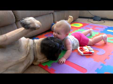 Mackenzie plays with Bentley