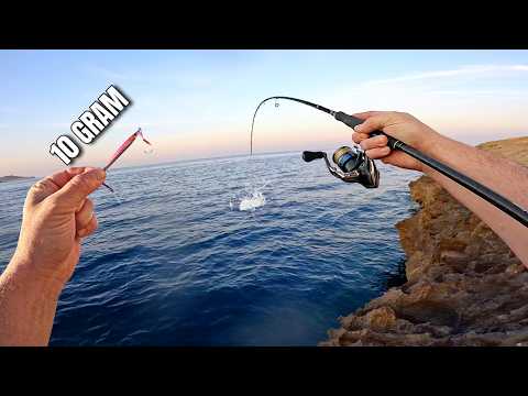 MICRO JIGGING IN DEEP WATER - PELAGIC BONANZA!