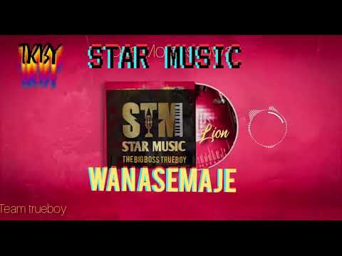 Star Music -  WANASEMAJE (Official Audio)
