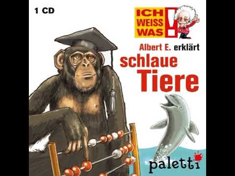 Albert E. erklärt schlaue Tiere