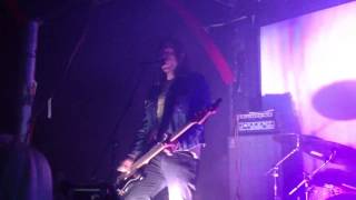 Plexi- Forest Ranger