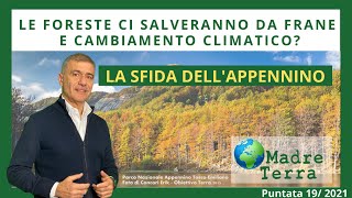 Madre Terra – 19/2021 – Le foreste ci salveranno da frane e cambiamento climatico?