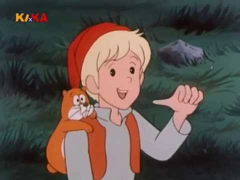 41 - Sommer in Lappland