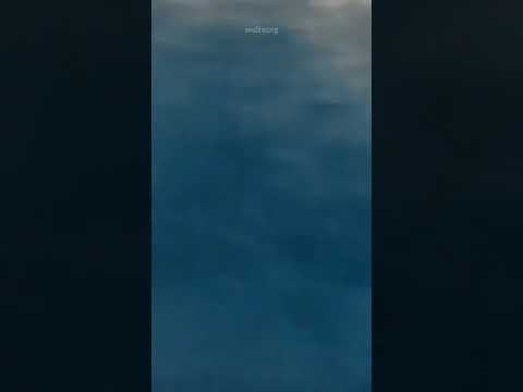 he's so precious, we love u 😿♥️   (Woosung) MINDSET