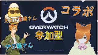 【コラボ】誰でも参加型！初心者ミラコのオーバーウォッチ【たまご豆腐&ザク猫さん】