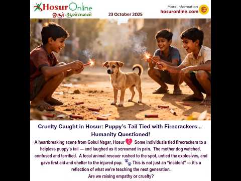 🔥 Cruelty Caught in Hosur: Puppy’s Tail Tied with Firecrackers | Humanity at Risk