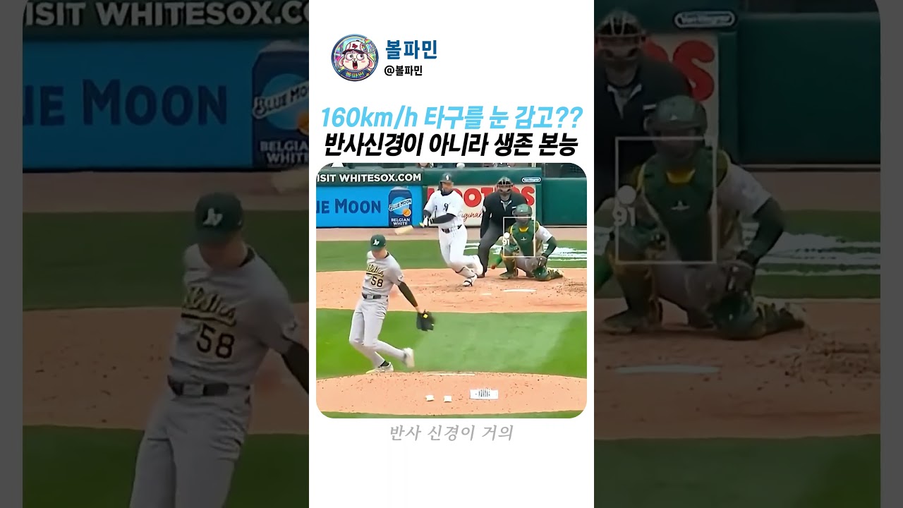 이런 수비가 가능하다고? MLB 투수의 미친 반응속도 #MLB #레전드 #야구
