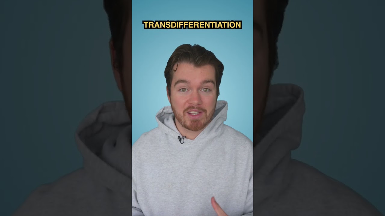 The World’s Only Biologically Immortal Animal #technology #science #universe