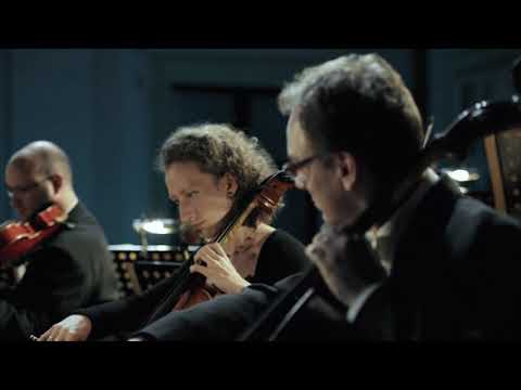 Viva Musica Dirigent