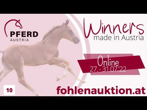 🍀www.fohlenauktion.at - Nr.  🔟 "Blueberry" v.  Bon Coeur - Sunday NRW - Laureus NRW