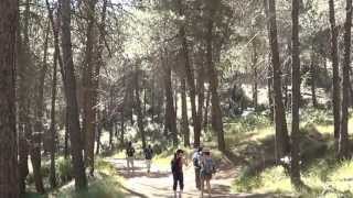 preview picture of video 'Senderismo por la Zubia (  Cumbres Verdes ) y Monachil Granada dia 7 de Julio 2013'