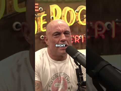 Inside John McAfee's Secret Meth Lab A Dark Tale