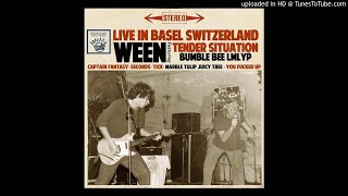 Ween - Goin&#39; Gets Tough From The Getgo (Live in Switzerland, 1990)