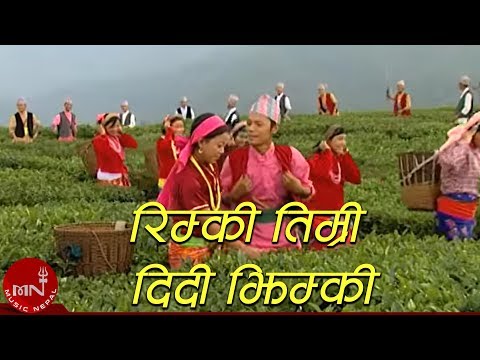 रिम्की तिम्री दिदी झिम्की बेलवोटे कमानमा - पूर्वेली झ्याउरे नृत्य | RIMKI TIMRI DIDEE JHIMKI