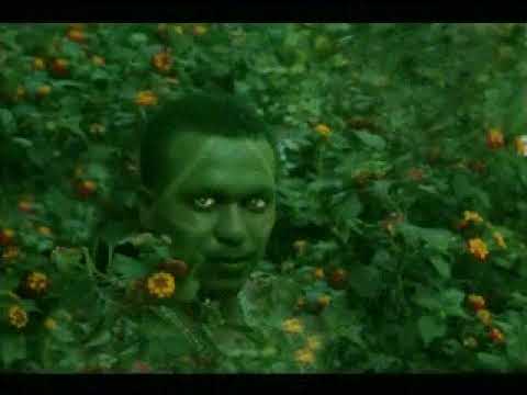 reza ossanha/ossain nação cabinda Mestre Belerum