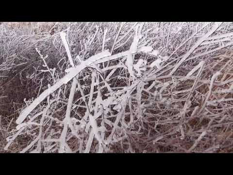 02-10-21 Norman and Moore OK Ice & Freezing Drizzle