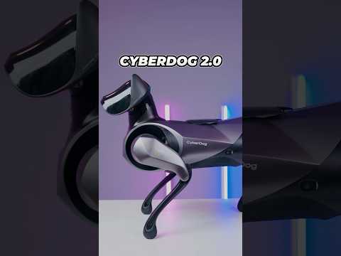 Chó thông minh Xiaomi CyberDog 2 | Trí tuệ nhân tạo, siêu cảm biến & bộ cơ khí động lực truyền động CyberGear