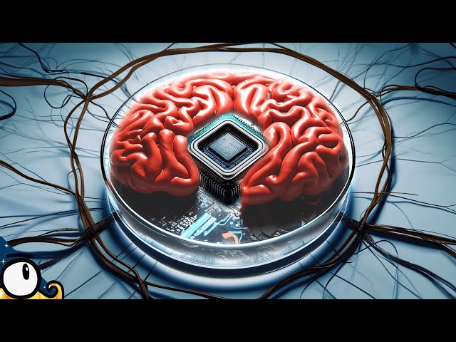 Creating a Miniature Brain: The Future of Neural Interfaces | Magica