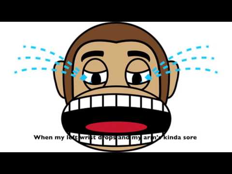 Brachial Plexus song