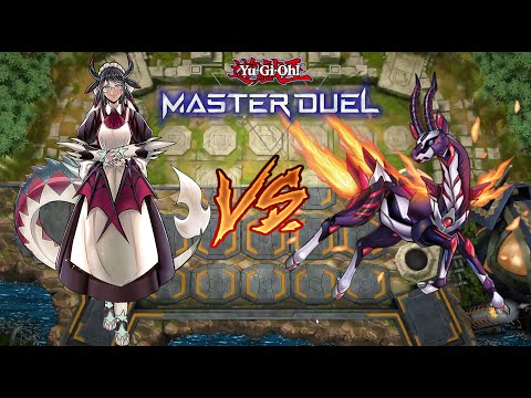 Dragonmaid VS Salamangreat | Yu-Gi-Oh! Master Duel